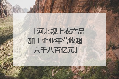 河北规上农产品加工企业年营收超六千八百亿元