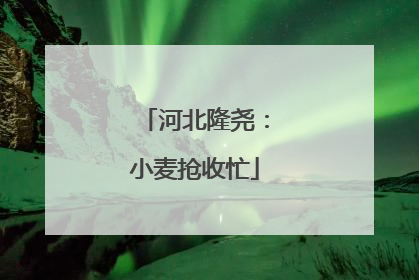 河北隆尧：小麦抢收忙