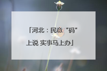 河北：民意“码”上说 实事马上办