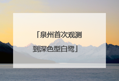 泉州首次观测到深色型白鹭
