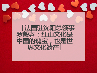 法国驻沈阳总领事罗毅睿：红山文化是中国的瑰宝，也是世界文化遗产