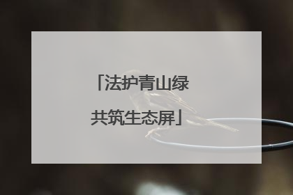 法护青山绿 共筑生态屏