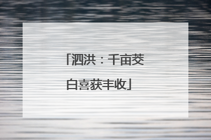 泗洪：千亩茭白喜获丰收