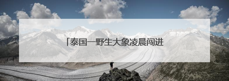 泰国一野生大象凌晨闯进商店，狂吃零食和鸡蛋