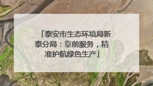 泰安市生态环境局新泰分局：靠前服务，精准护航绿色生产