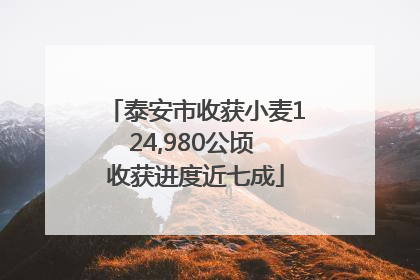 泰安市收获小麦124,980公顷 收获进度近七成