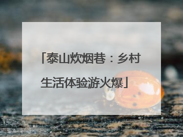 泰山炊烟巷：乡村生活体验游火爆
