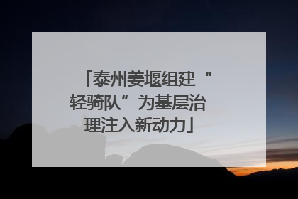 泰州姜堰组建“轻骑队”为基层治理注入新动力