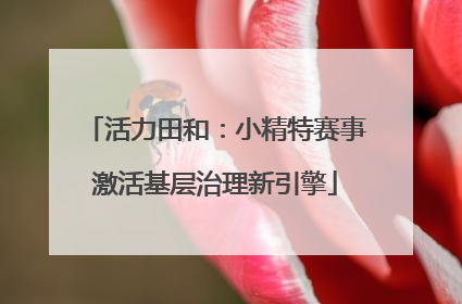 活力田和：小精特赛事激活基层治理新引擎