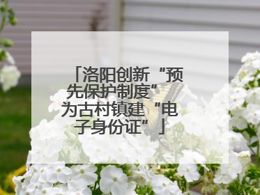洛阳创新“预先保护制度” 为古村镇建“电子身份证”