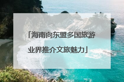 海南向东盟多国旅游业界推介文旅魅力