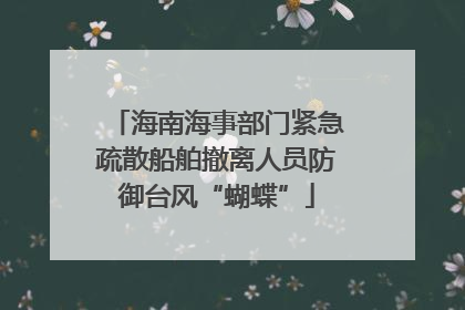 海南海事部门紧急疏散船舶撤离人员防御台风“蝴蝶”