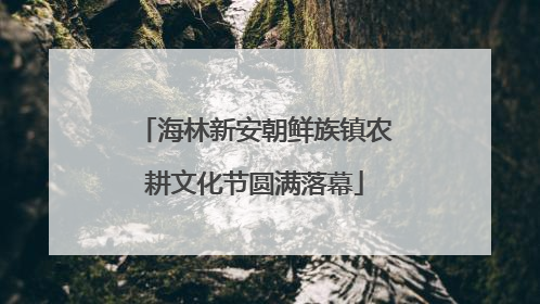 海林新安朝鲜族镇农耕文化节圆满落幕