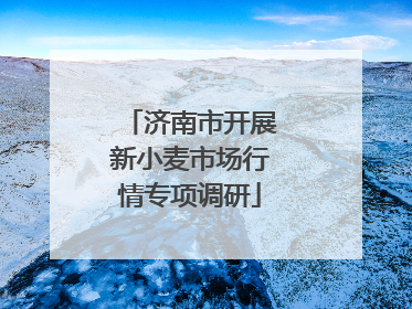 济南市开展新小麦市场行情专项调研