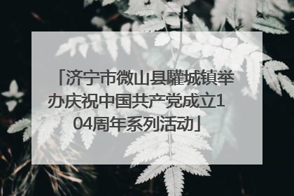 济宁市微山县驩城镇举办庆祝中国共产党成立104周年系列活动