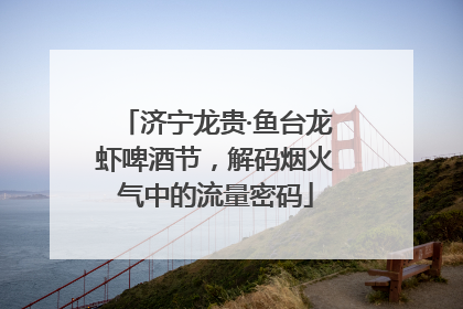 济宁龙贵·鱼台龙虾啤酒节，解码烟火气中的流量密码
