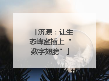 济源：让生态蜂蜜插上“数字翅膀”