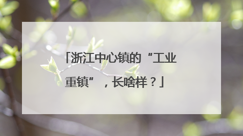 浙江中心镇的“工业重镇”，长啥样？