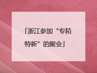 浙江参加“专精特新”的聚会