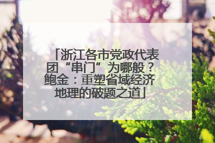 浙江各市党政代表团“串门”为哪般？鲍金：重塑省域经济地理的破题之道