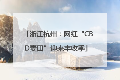 浙江杭州：网红“CBD麦田”迎来丰收季