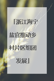 浙江海宁盐官推动乡村片区组团发展