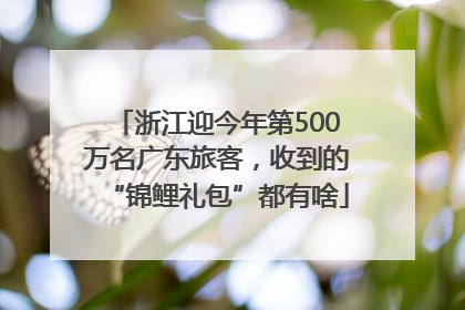 浙江迎今年第500万名广东旅客，收到的“锦鲤礼包”都有啥