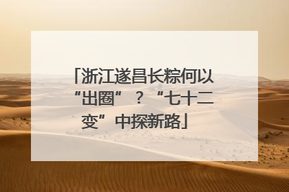 浙江遂昌长粽何以“出圈”？“七十二变”中探新路