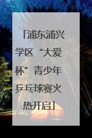 浦东浦兴学区“大爱杯”青少年乒乓球赛火热开启