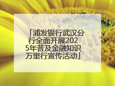 浦发银行武汉分行全面开展2025年普及金融知识万里行宣传活动