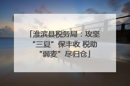 淮滨县税务局：攻坚“三夏”保丰收 税助“弱麦”尽归仓