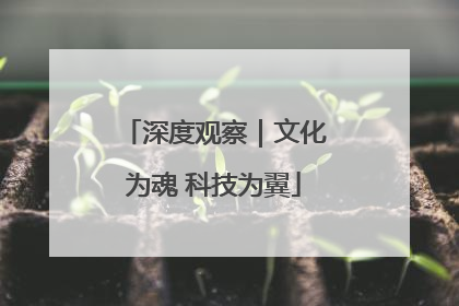 深度观察｜文化为魂 科技为翼