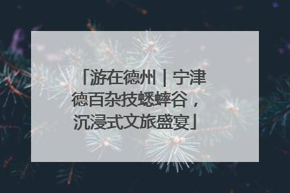 游在德州｜宁津德百杂技蟋蟀谷，沉浸式文旅盛宴
