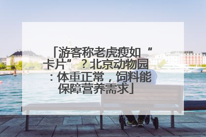 游客称老虎瘦如“卡片”？北京动物园：体重正常，饲料能保障营养需求