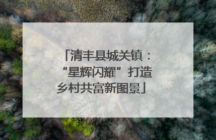 清丰县城关镇：“星辉闪耀”打造乡村共富新图景