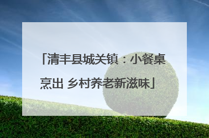 清丰县城关镇：小餐桌烹出 乡村养老新滋味