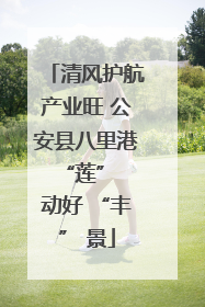 清风护航产业旺 公安县八里港 “莲” 动好 “丰” 景