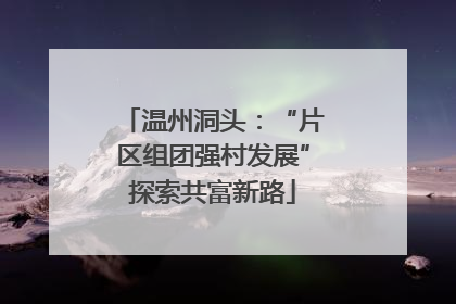 温州洞头：“片区组团强村发展”探索共富新路