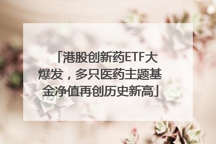 港股创新药ETF大爆发，多只医药主题基金净值再创历史新高