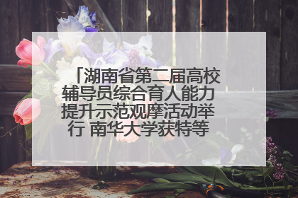 湖南省第二届高校辅导员综合育人能力提升示范观摩活动举行 南华大学获特等奖和一等奖