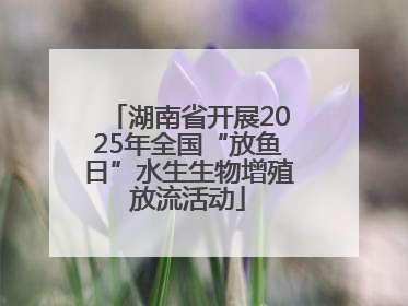 湖南省开展2025年全国“放鱼日”水生生物增殖放流活动
