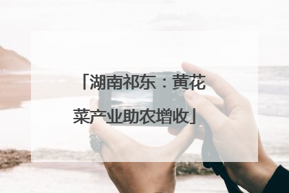 湖南祁东：黄花菜产业助农增收