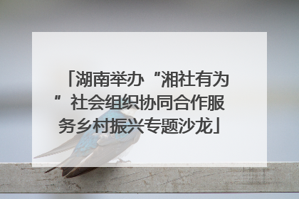 湖南举办“湘社有为”社会组织协同合作服务乡村振兴专题沙龙