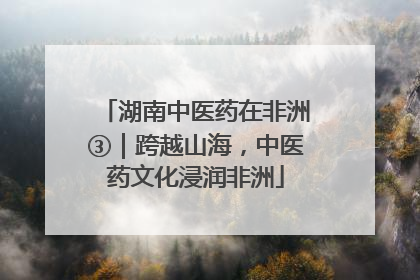 湖南中医药在非洲③｜跨越山海，中医药文化浸润非洲
