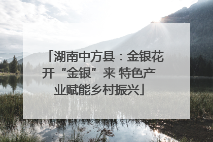 湖南中方县：金银花开“金银”来 特色产业赋能乡村振兴