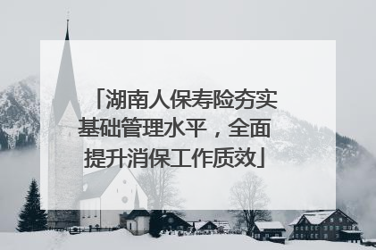 湖南人保寿险夯实基础管理水平，全面提升消保工作质效