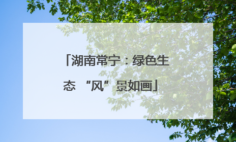 湖南常宁：绿色生态 “风”景如画