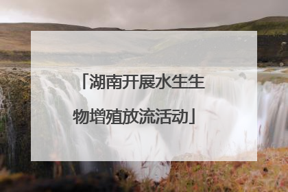 湖南开展水生生物增殖放流活动