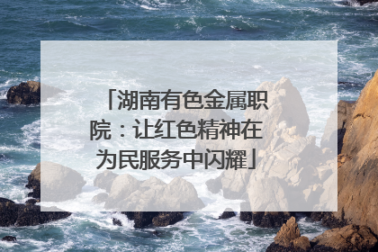 湖南有色金属职院：让红色精神在为民服务中闪耀
