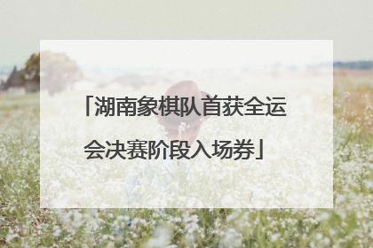 湖南象棋队首获全运会决赛阶段入场券